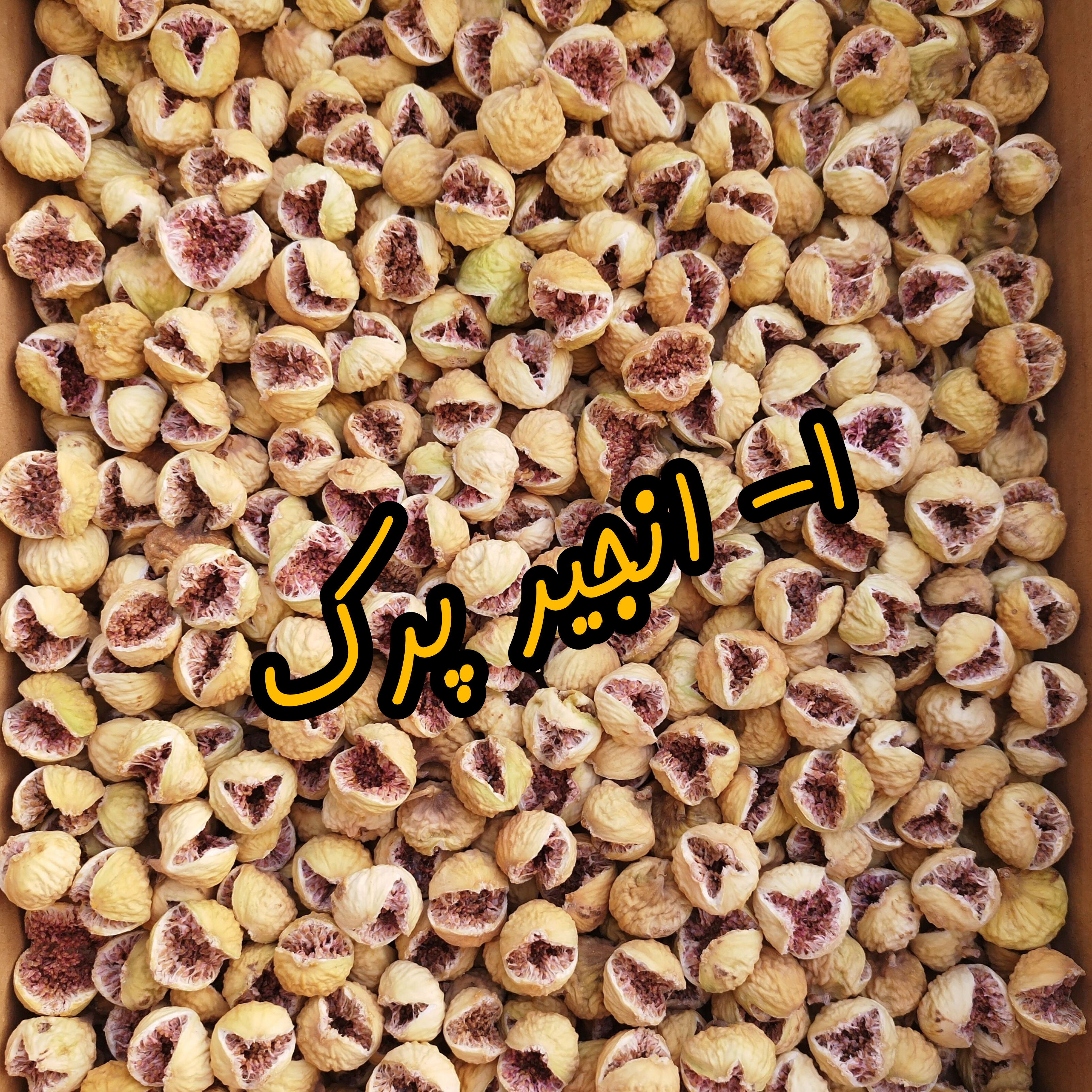  انجیر استهبان 